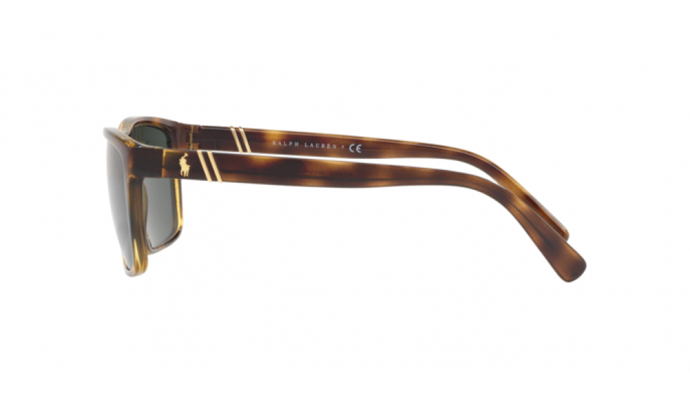 Gafas de sol Polo PH4133-500371