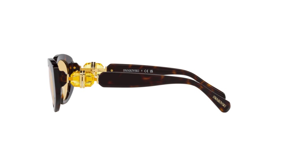 Gafas de sol Swarovski SK6002-1002/8