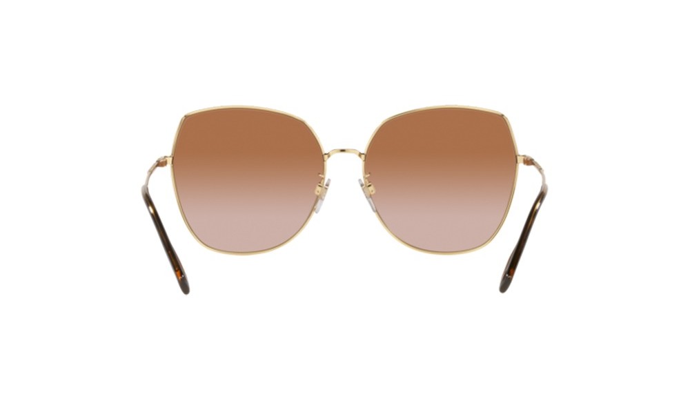 Gafas de sol Burberry BE3136D-110913