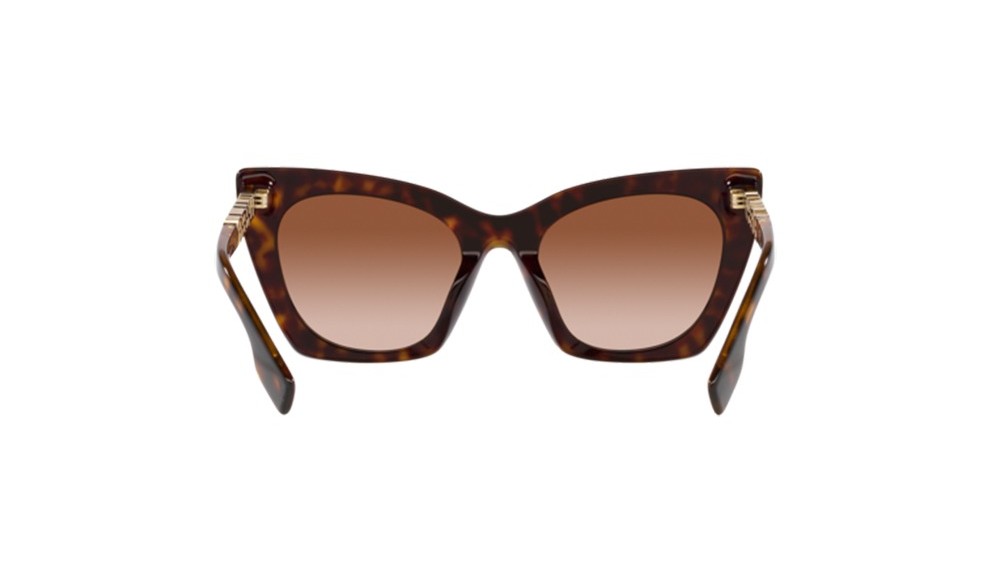 Gafas de sol Burberry BE4372U-300213