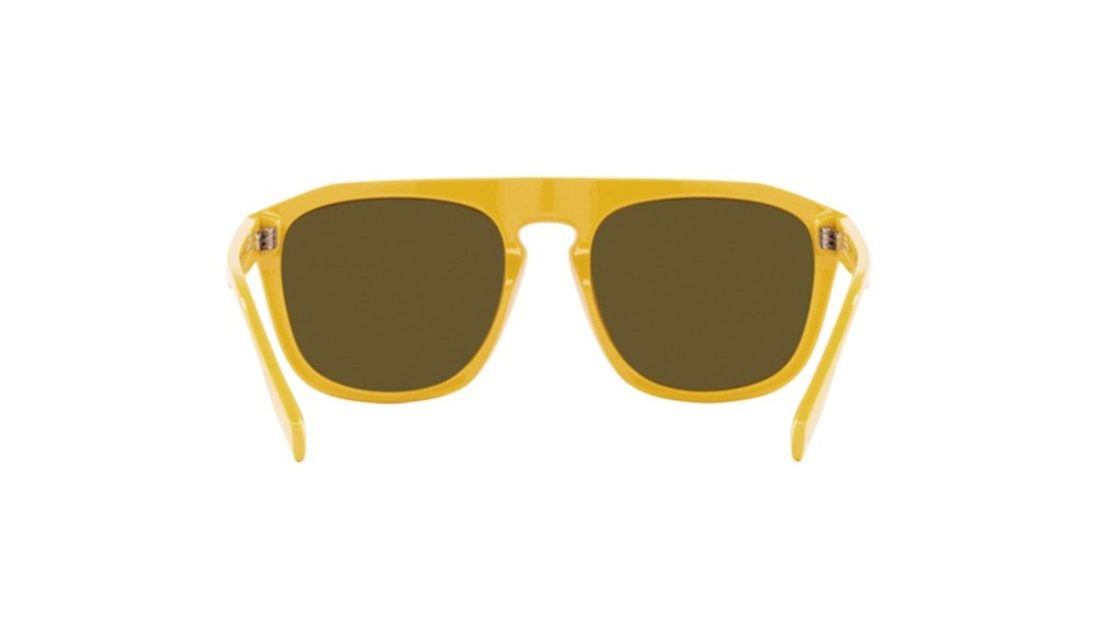 Gafas de sol Burberry BE4396U-407073