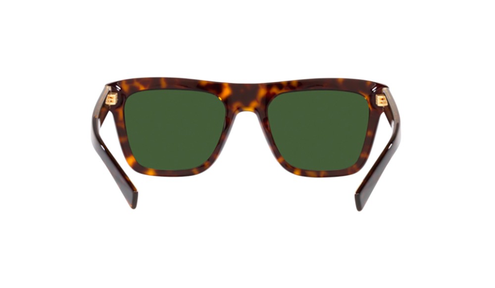 Gafas de sol Dolce&Gabbana DG4420-502/71