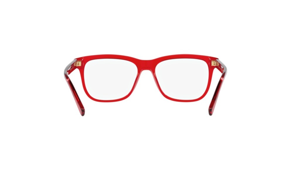 Dolce&Gabbana DX3356-3409-49