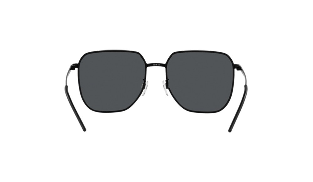 Gafas de sol Emporio Armani EA2135D-300187