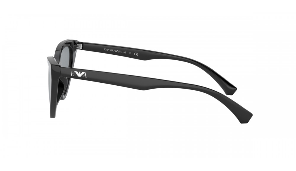 Gafas de sol Emporio Armani EA4136-500187