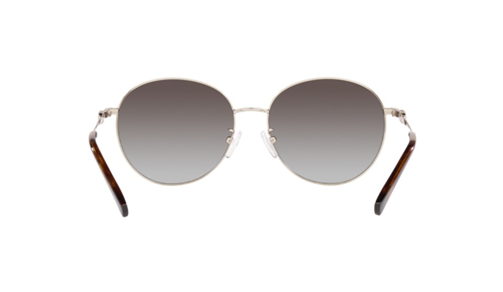 Gafas de sol Michael Kors ALPINE MK1119-10148G