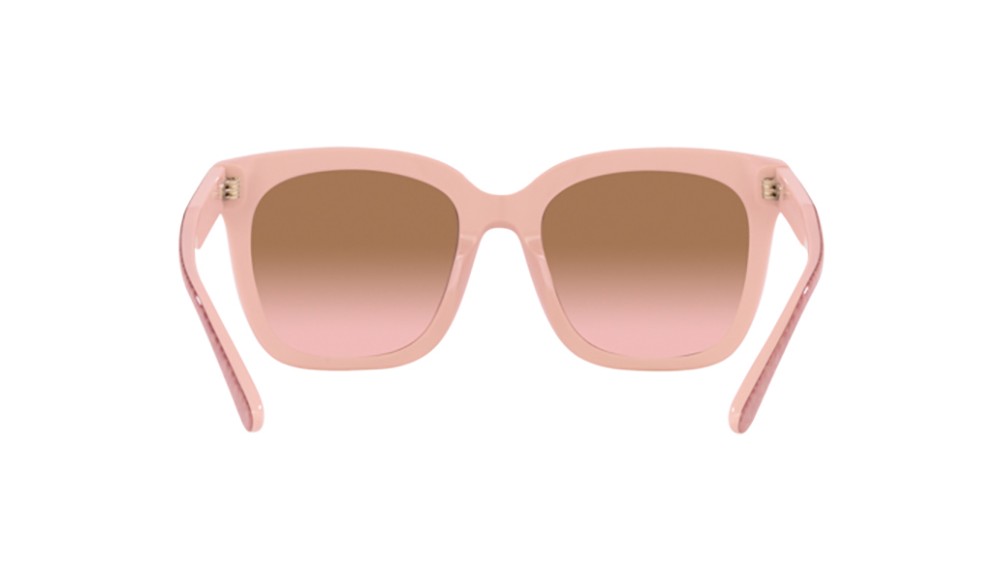 Gafas de sol Michael Kors SAN MARINO MK2163-392611