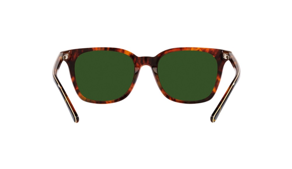 Gafas de sol Polo PH4187-501771