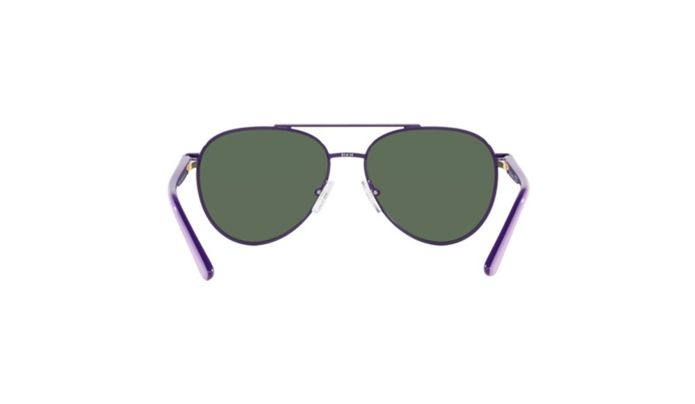 Gafas de sol Polo PP9001-94596R