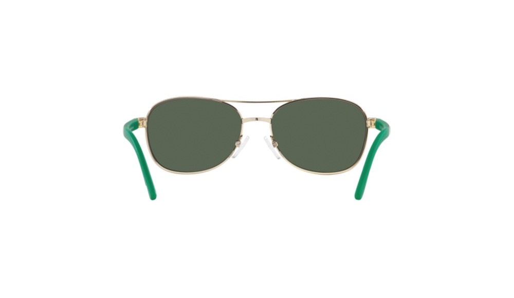 Gafas de sol Polo PP9002-942571