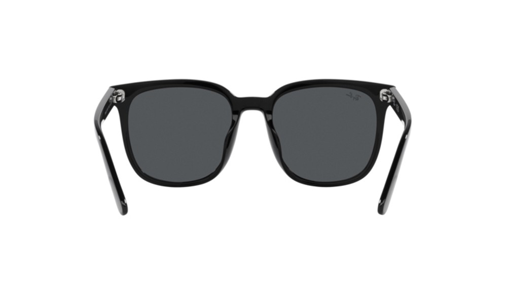  Ray-Ban ® RB4401D-601/87