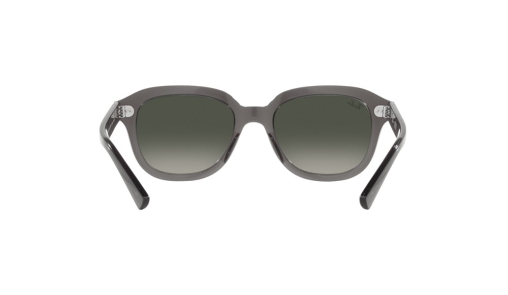  Ray-Ban ® Erik RB4398-667571