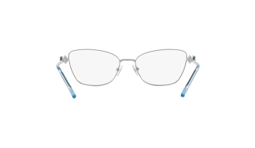  Swarovski SK1006-4020-55