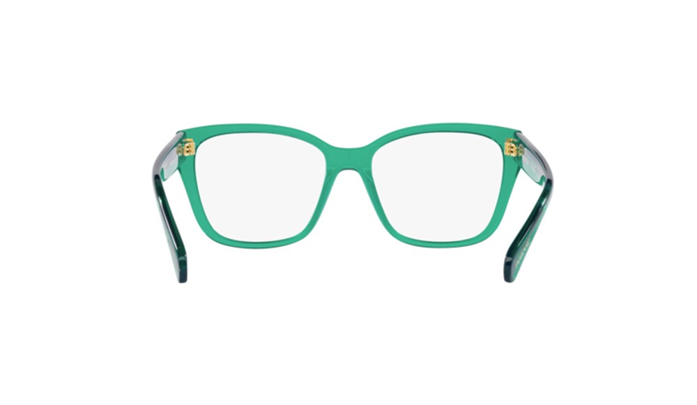  Swarovski SK2008-1029-53