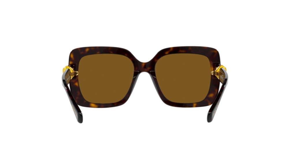 Gafas de sol Swarovski SK6001-100283