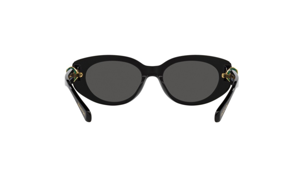 Gafas de sol Swarovski SK6002-100187