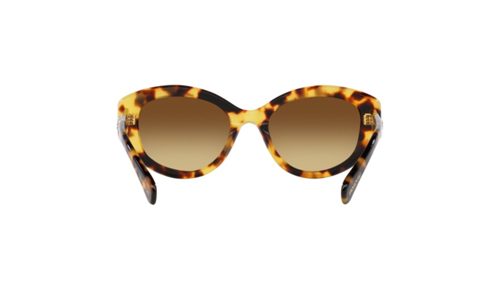 Gafas de sol Swarovski SK6005-100913
