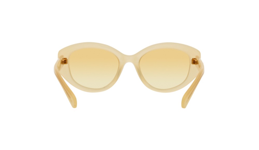 Gafas de sol Swarovski SK6005-10232Q