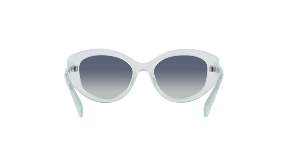 Gafas de sol Swarovski SK6005-10244L