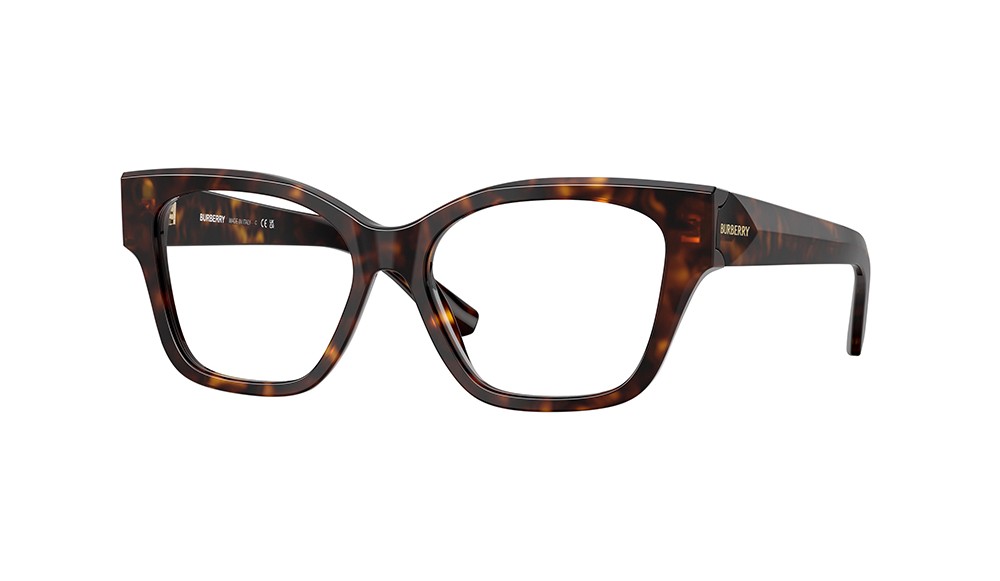  Burberry BE2420-3002-52