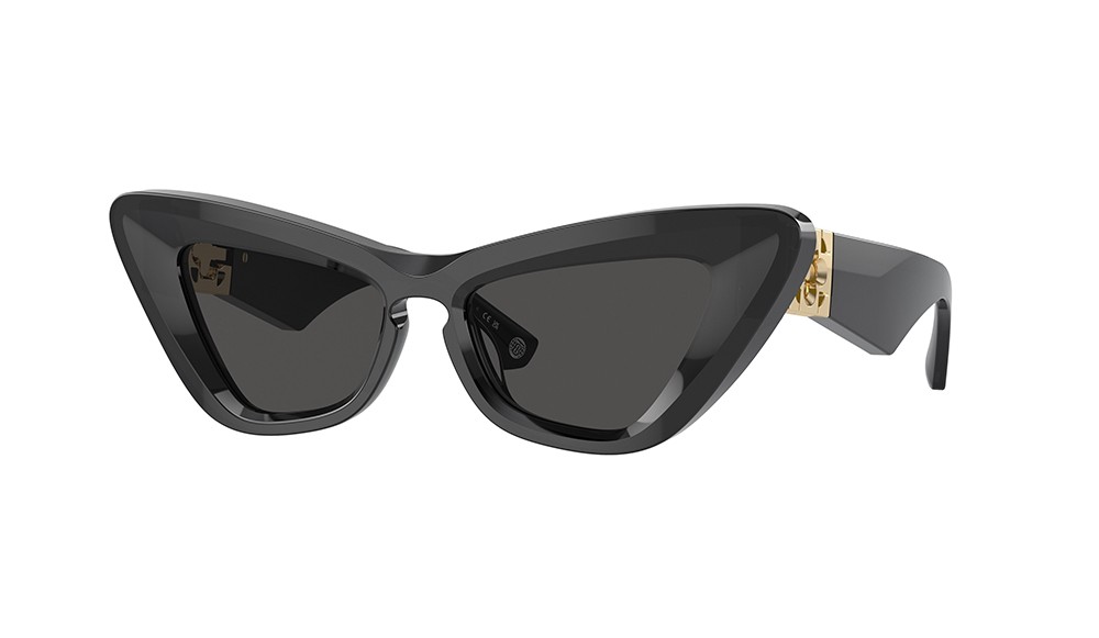 Gafas de sol Burberry BE4421U-411287