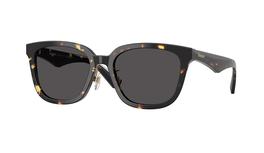 Gafas de sol Burberry BE4446D-410687