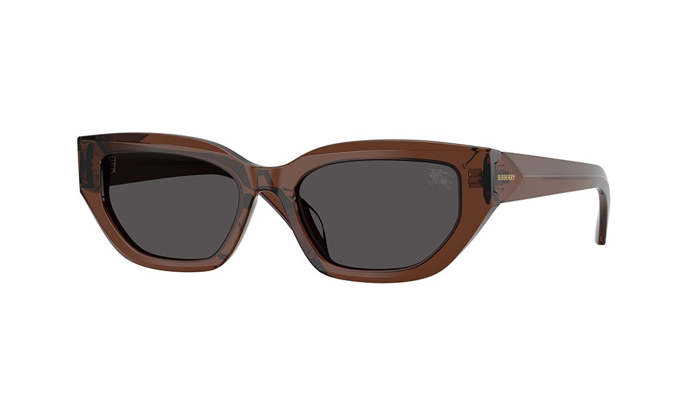 Gafas de sol Burberry BE4463D-411687