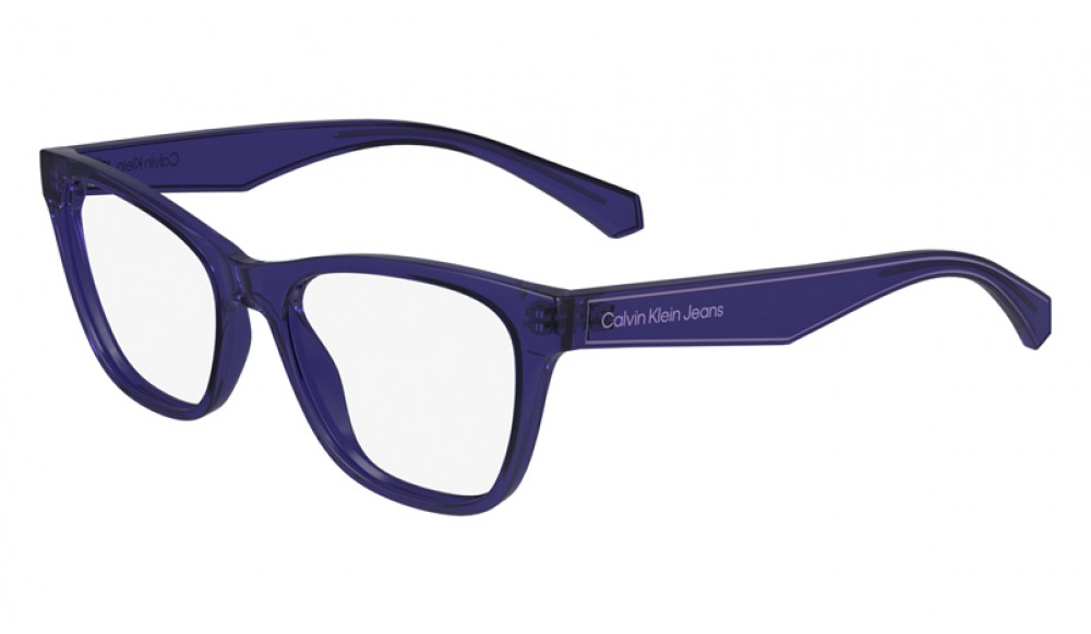  Calvin Klein CKJ24304N-500