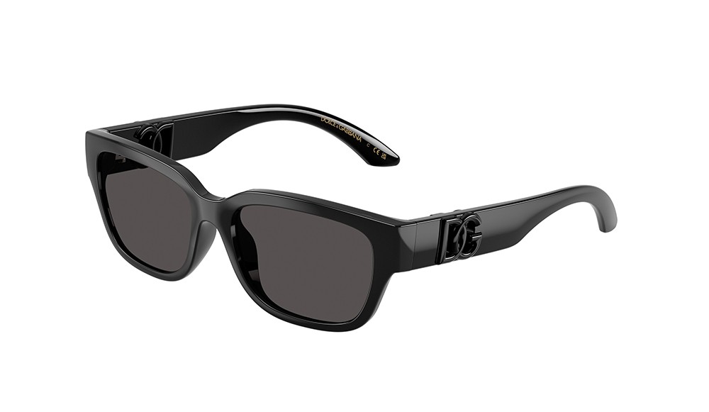 Gafas de sol Dolce&Gabbana DX6009-501/87