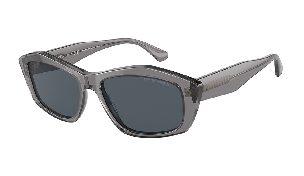 Gafas de sol Emporio Armani EA4187-502987