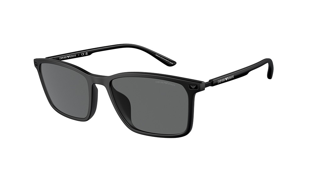 Gafas de sol Emporio Armani EA4223U-500187