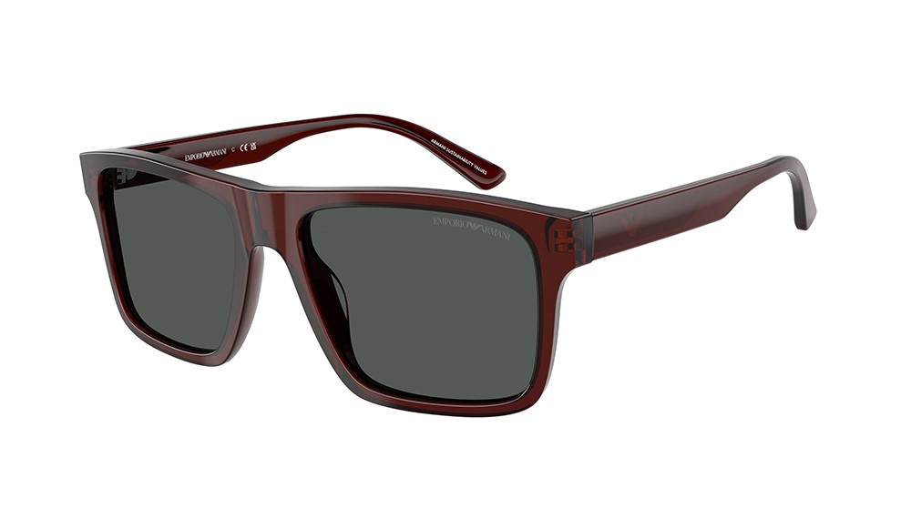 Gafas de sol Emporio Armani EA4232-617487