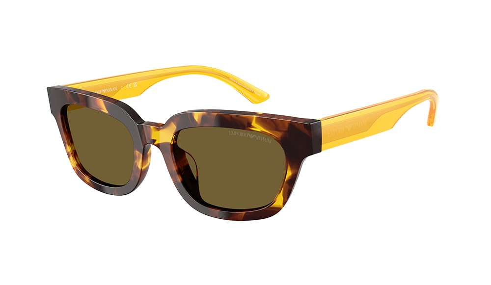Gafas de sol Emporio Armani EA4233U-618173