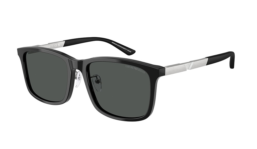 Gafas de sol Emporio Armani EA4241D-501787