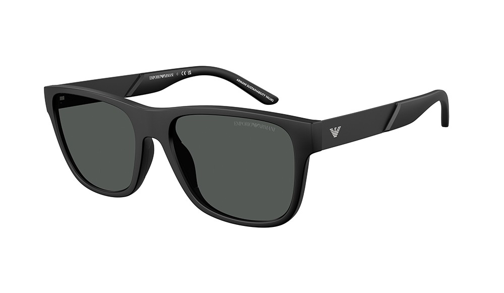 Gafas de sol Emporio Armani EA4243-5001T3