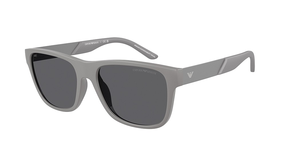 Gafas de sol Emporio Armani EA4243-6245/1