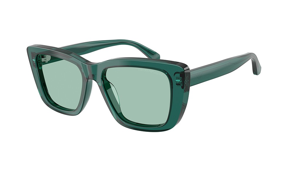 Gafas de sol Emporio Armani EA4246U-6252/2