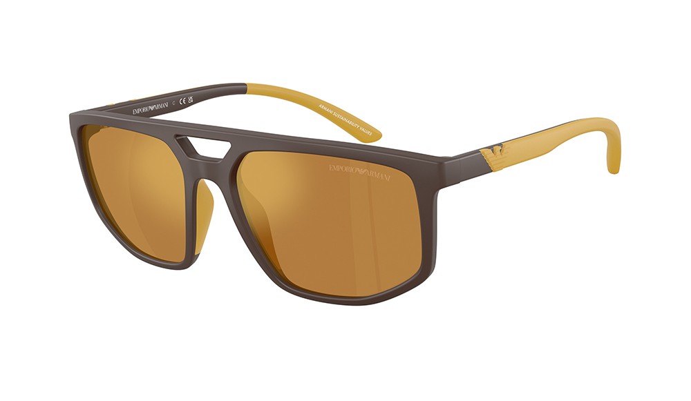 Gafas de sol Emporio Armani EA4248U-62586H