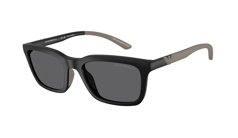 Gafas de sol Emporio Armani EA4249U-500181