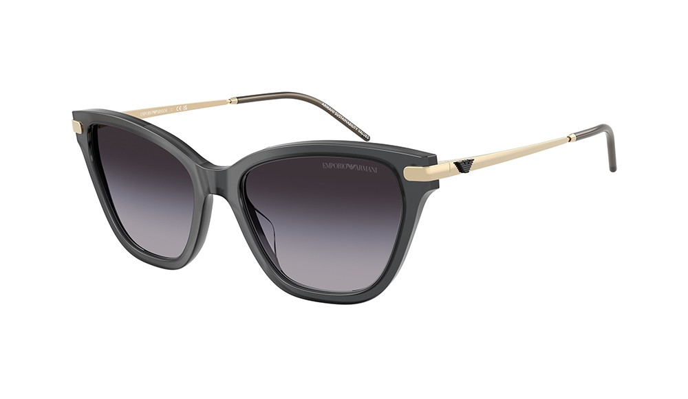 Gafas de sol Emporio Armani EA4251-62628G