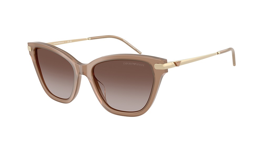 Gafas de sol Emporio Armani EA4251-626313