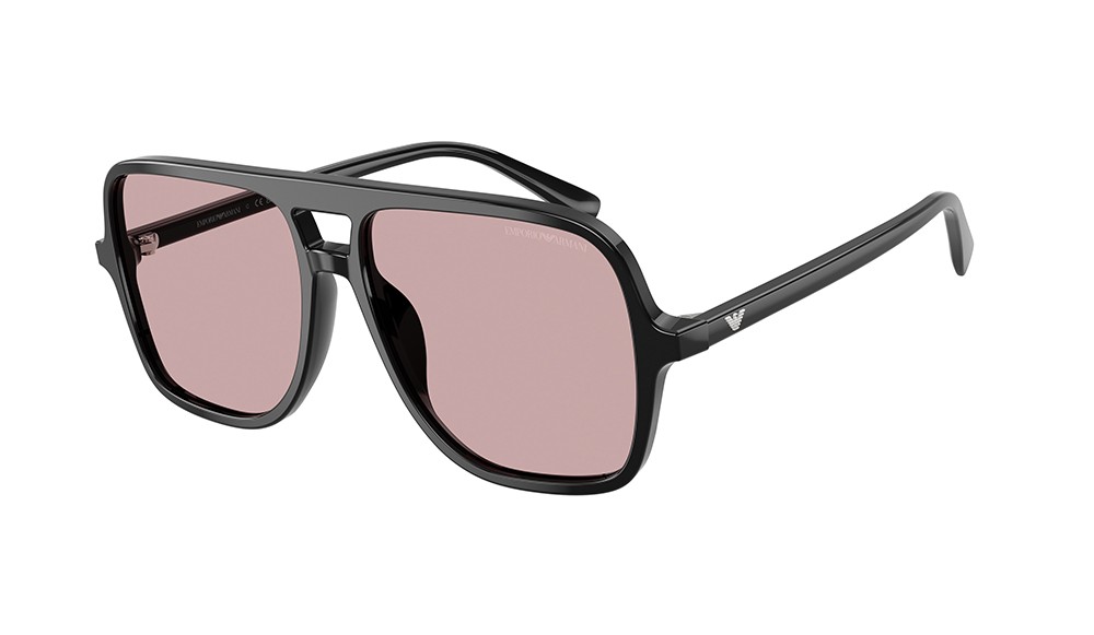 Gafas de sol Emporio Armani EA4252U-501773