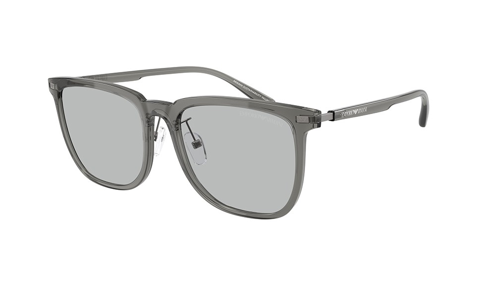 Gafas de sol Emporio Armani EA4255D-502987