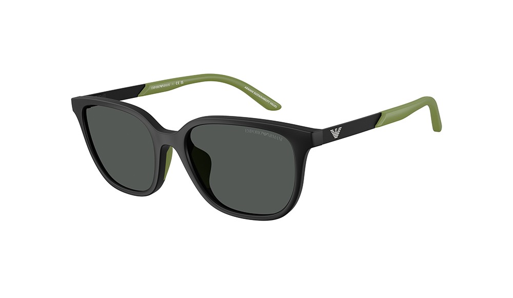 Gafas de sol Emporio Armani EK4006U-500187