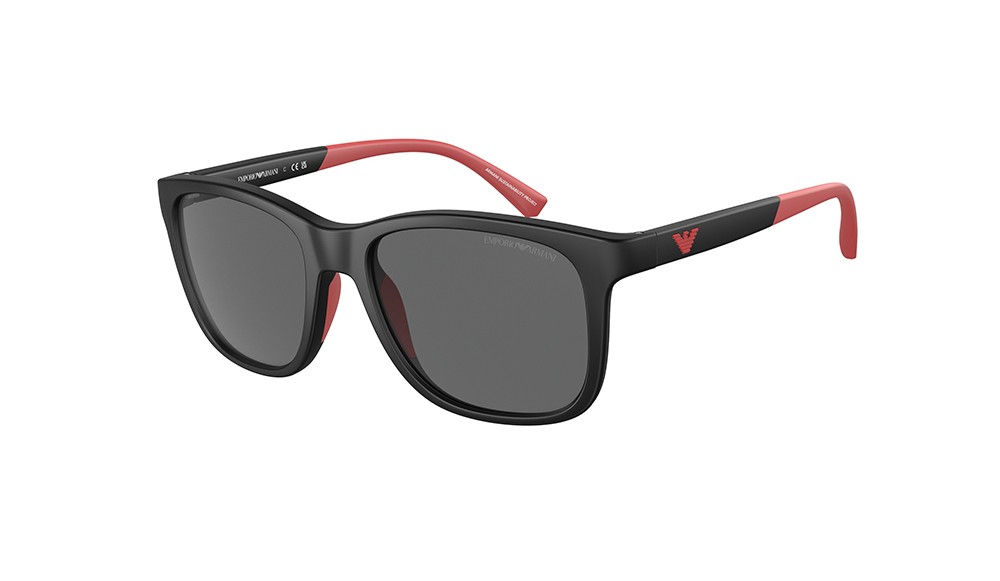 Gafas de sol Emporio Armani EK4184-500187