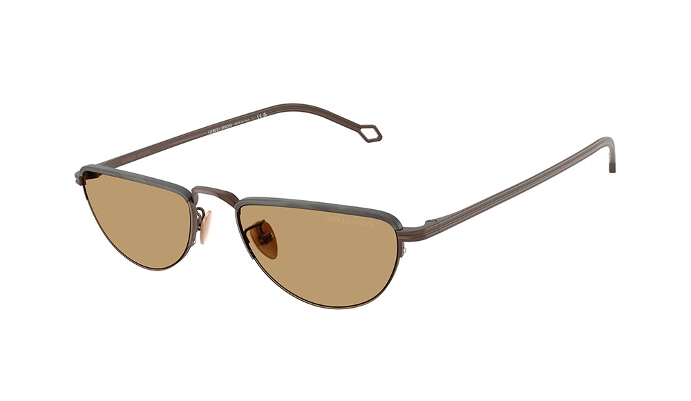 Gafas de sol Giorgio Armani AR6166J-300673