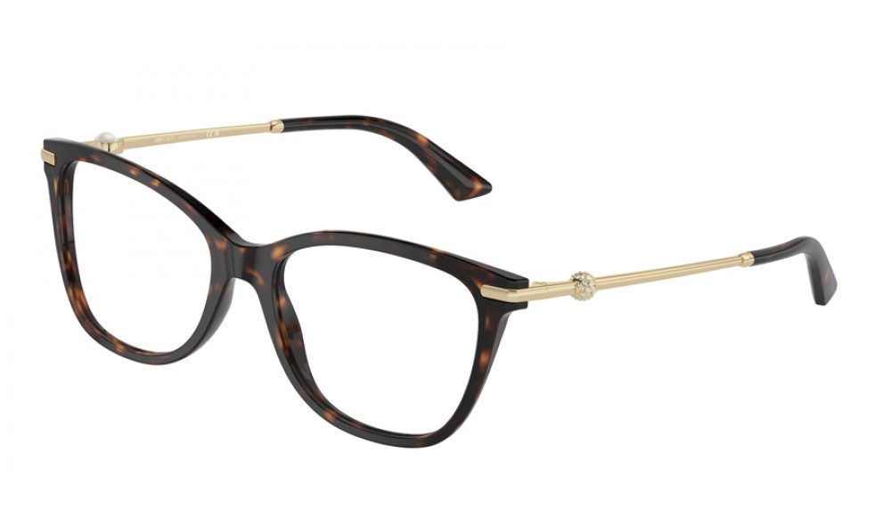  Jimmy Choo JC3007HB-5002-54