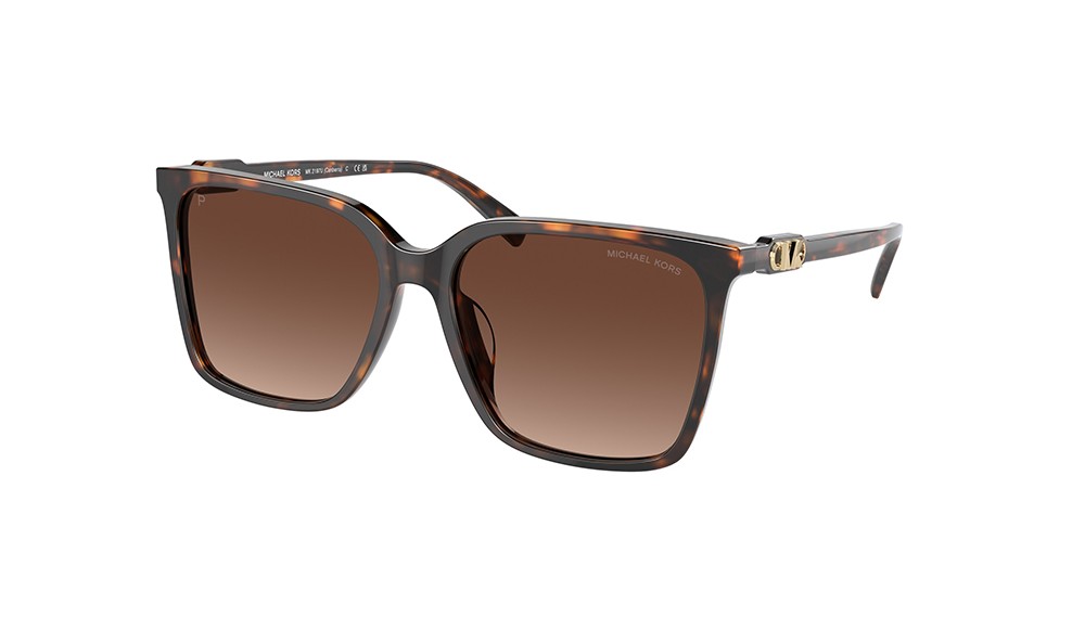 Gafas de sol Michael Kors MK2197U-3006T5