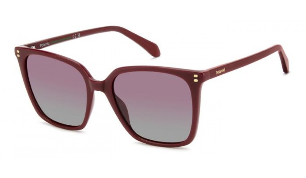 Gafas de sol Polaroid PLD 4201/S/X-C9A (GC)