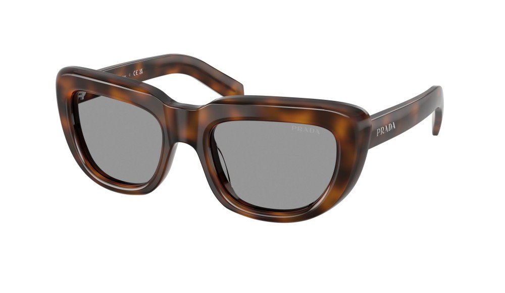 Gafas de sol Prada PR D07S-20D50Q